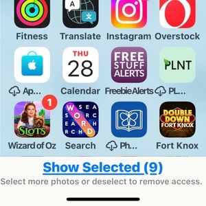 Steve Masson  women’s belt